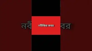 নবীজির কবর #shorts