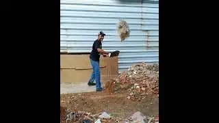 Matando 1 Leão por Dia  #trabalho
