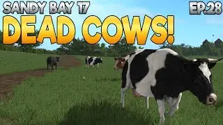 Sandy Bay 17 - Farming Simulator 17 -  Ep.28 (with Wheel Cam & Seasons Mod)