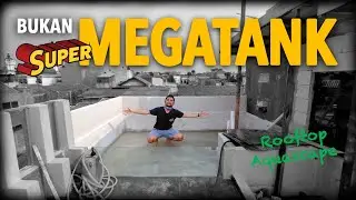 IMPIAN BANGET PUNYA KAYAK GINI - AQUASCAPE di ROOFTOP HexAquaShop