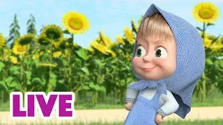 🔴 LIVE 🐻👧 Masha y el Oso 2024 🤗 Encuentros familiares 🎬 Masha and the Bear