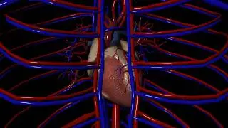 Class III Antiarrhythmics for Arrhythmias (irregular heartbeat)