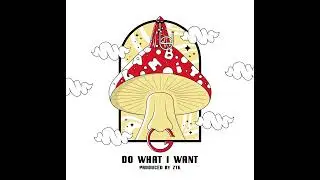 Gambit - Do What I Want (prod. ZTK)