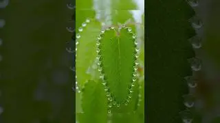 Perfect Satisfying Photos…😴 #satisfying