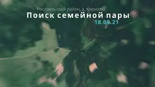 Ночное поисковое Бинго!