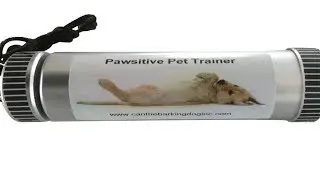 Getting Pawsitive responds from your pets