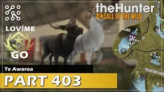 MELANICKÁ trofeje daňka z GO | theHunter: Call of the wild CZ |  Česky