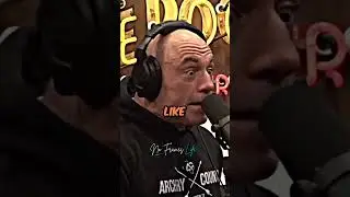 Joe Rogan Goes NUTS About Alligators 😂🤣 #jre #shorts