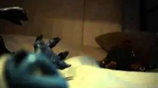 pokemon Adventures last winter videos pt 5