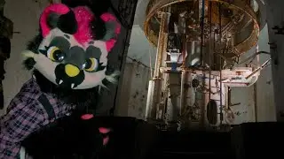 Six Pattes Sous Terre