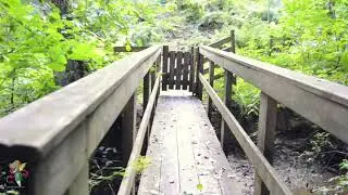 The Oak Creek and Beaver dam