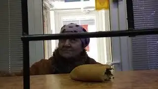 Сумасшедшие бабки
