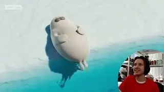 АлчеРЕАКЦИЯ SEALOOK Official - Ленивое воскресенье с тюленями😌ㅣSEALOOKㅣEpisode Compilation