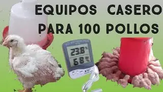 Essential Equipment for Raising BROILER CHICKENS at Home |HOME-BASED BUSINESS|