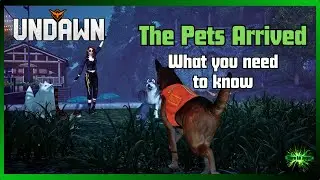 Undawn How to obtain a Pet and how the pet system works and diferences bettween dogs and cats