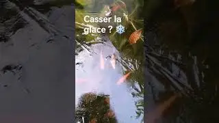 faut-il casser la glace ? 🤔