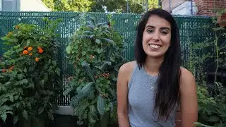 Thank You For Your Support! (+ More Garden Updates)
