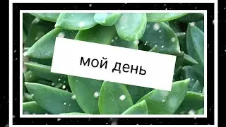 Мой день/Даша NICE