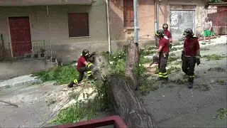 SAMBATELLO CADUTA ALBERO !!!