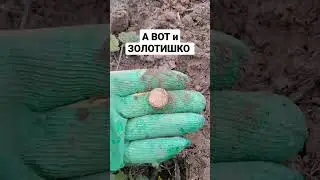 КАК ЖЕ БЕЗ ЗОЛОТА НА КОПЕ #коп #shorts