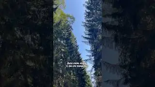 Поездка в Павловский парк 🧺🌲