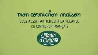 Mon kit Cornichon Maison - Tutoriel Officiel