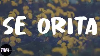 Shawn Mendes - Señorita (Lyrics)