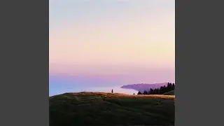 Without You