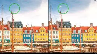 Find the Difference Level 166