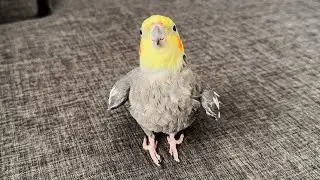 Hello 👋🏻 it’s me!