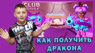 Как получить драгоценного дракона в Club roblox.