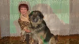 АМУР С АНДРЕЕМ