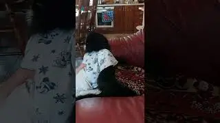 как ругается гиббон?😜🤭🐒☝️ 