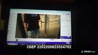 Прямая трансляция Karat Kusto