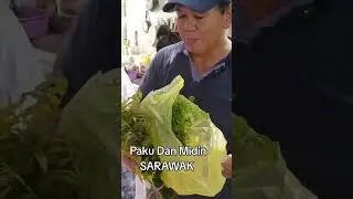 Paku Dan Midin Sarawak
