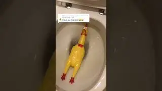 Глент, я в туалете
