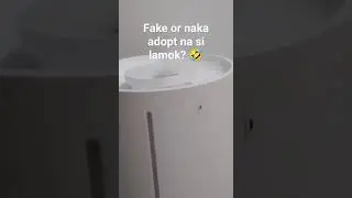 Lamok siguradong teypok 😅🤣 #funnyshorts #mosquitofree