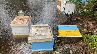 Утонул целый точек, ураган во Флориде