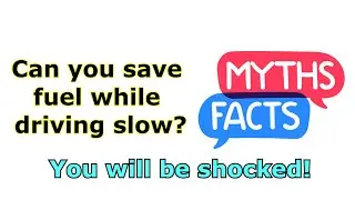 Can you tell fact from myth? | Brain Quiz