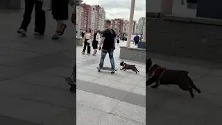 Угон век🤣