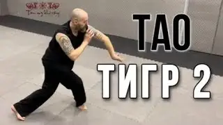 ТАО ТИГР 2 