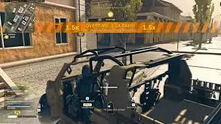 random roadkill