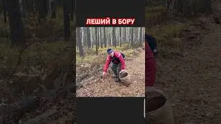 ЛЕШИЙ В БОРУ ВСТРЕЧАЕТ ГРИБНИКОВ С НОВОСТЯМИ !!!