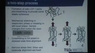 Photo responsive liquid crystals and liquid crystal polymers Lec. I - Broer Dick