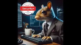 CISO Squirrel attempts the CompTIA SY0-701 Practice Exam