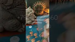 #tarot