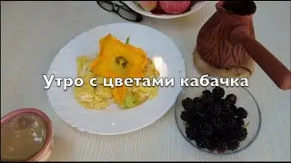 Утро с цветами кабачка