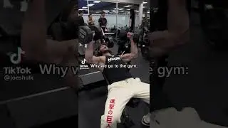 Why we go to the gym 