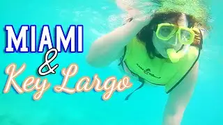 The Unicorn Factory in Miami & Snorkeling in Key Largo, Florida!