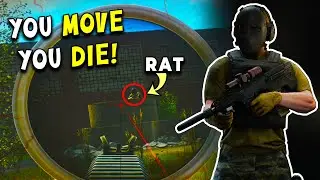 You Move, You Die! Rats Ruined Tarkov.....